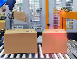 Zebra-Machine-Vision-Conveyor